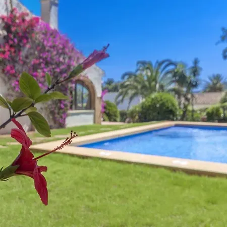 Rosa Clickjavea * Javea