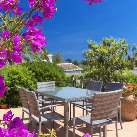 Rosa Clickjavea *